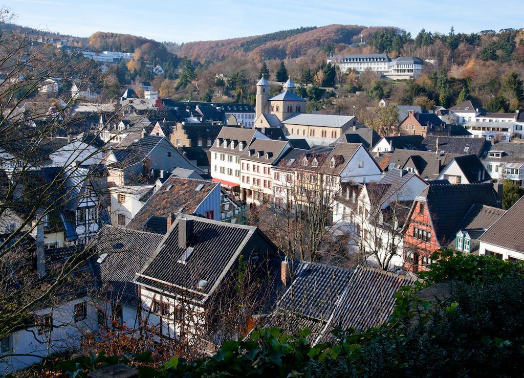 Eifelburg Hotel บัดมึนสเตอร์ไอเฟิล ห้อง รูปภาพ